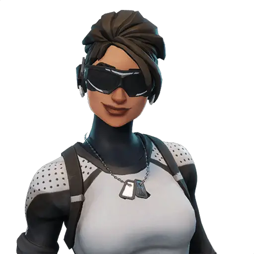 Arctic Assassin Outfit