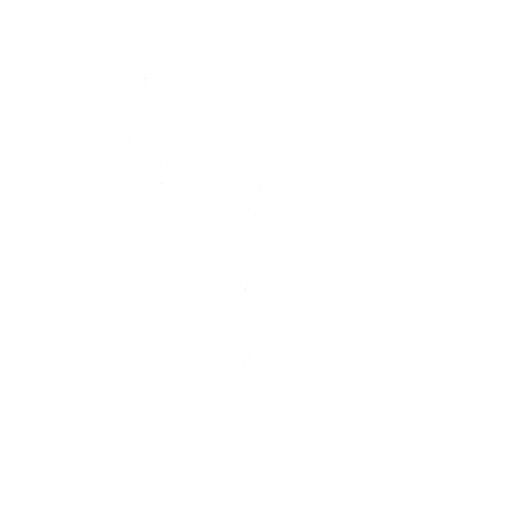 Battle Brother Emote icon