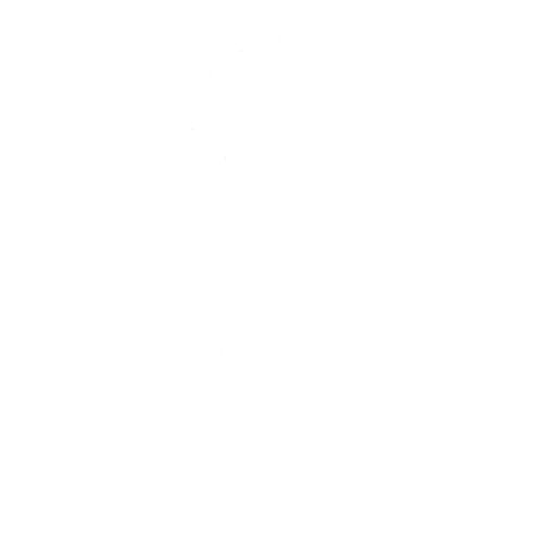 Flash Kick Emote icon