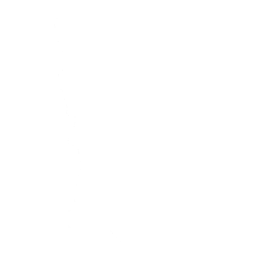 Go Cat Go Emote icon