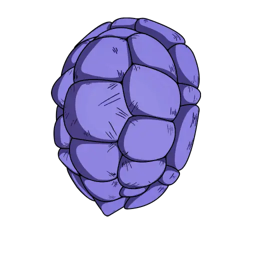 Kamesennins Shell Back Bling icon