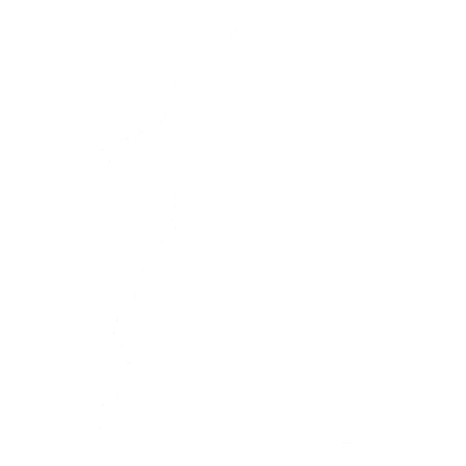 Keyed Up Emote icon
