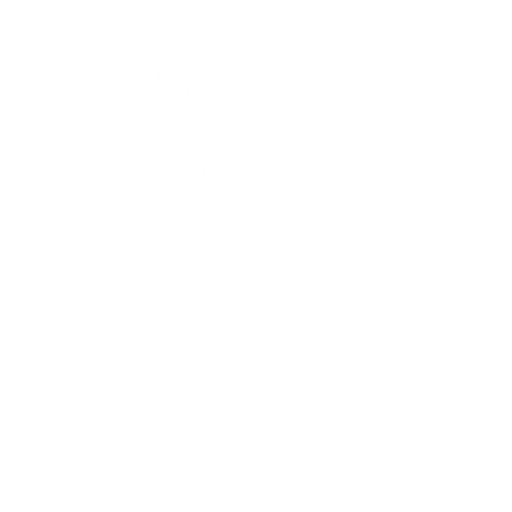 Realitys Master Emote icon