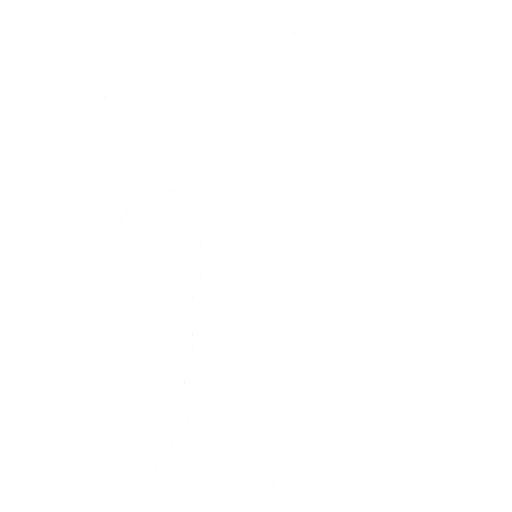Snowshaker Emote icon