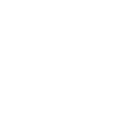 Unicycle Emote icon