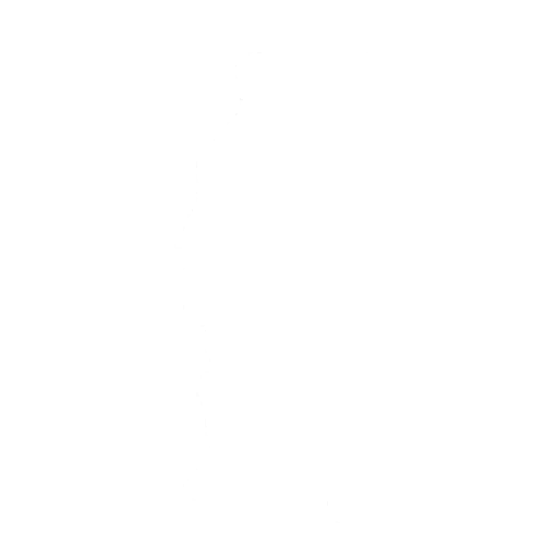 Wave Emote icon